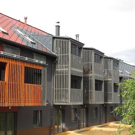 Apartman Honey Dolní Morava Esterno foto