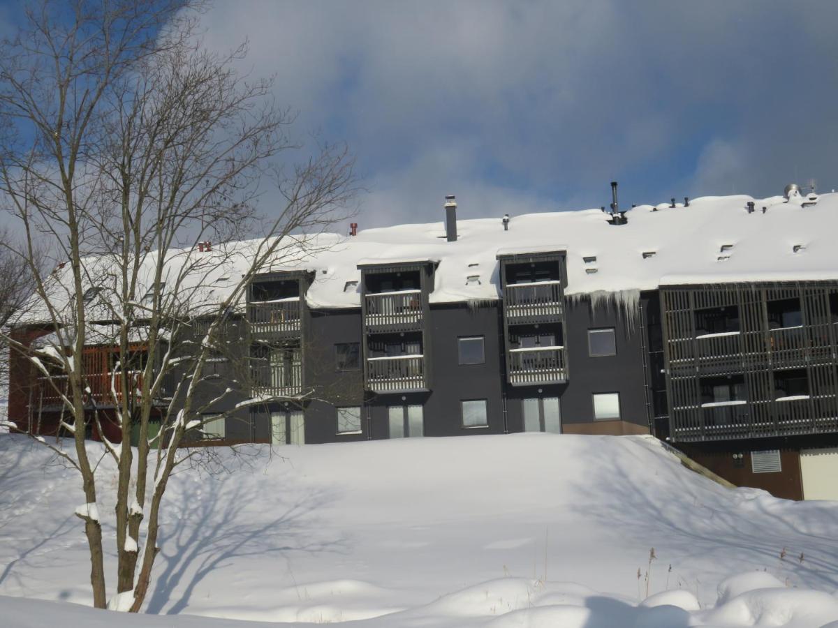 Apartman Honey Dolní Morava Esterno foto
