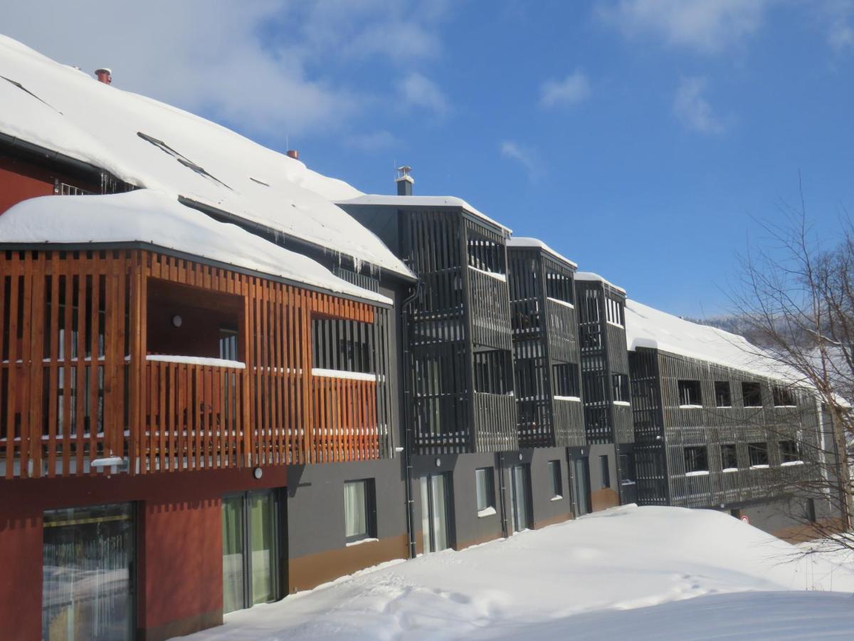 Apartman Honey Dolní Morava Esterno foto